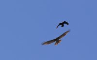 IMG_0002.jpg