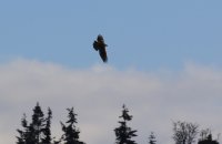 IMG_0003.jpg