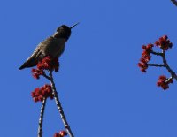 IMG_0001.jpg