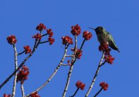 IMG_0002.jpg