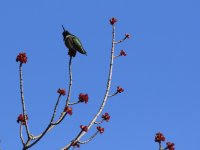 IMG_0003.jpg