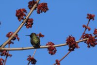 IMG_0004.jpg