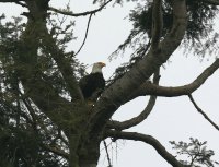 IMG_0001.jpg