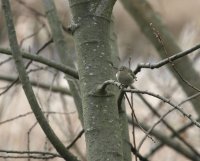 IMG_0001.jpg