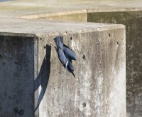 IMG_0002.jpg