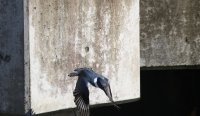 IMG_0003.jpg
