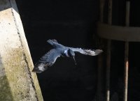 IMG_0004.jpg