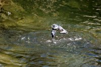 IMG_0007.jpg
