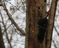 IMG_0001.jpg