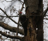 IMG_0003.jpg