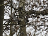 IMG_0004.jpg
