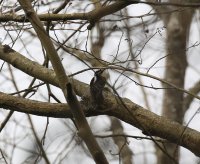 IMG_0005.jpg