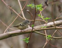 IMG_0004.jpg
