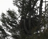 IMG_0001.jpg
