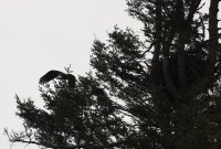 IMG_0002.jpg
