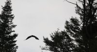 IMG_0003.jpg