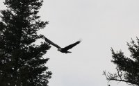 IMG_0004.jpg