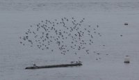 IMG_0001.jpg