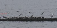 IMG_0004.jpg