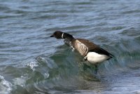 IMG_0003.jpg