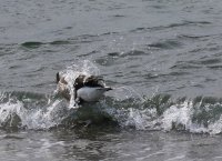 IMG_0005.jpg