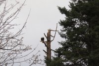 IMG_0002.jpg