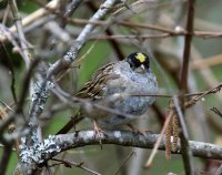 IMG_0004.jpg