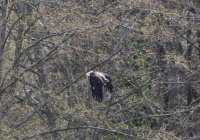 IMG_0003.jpg