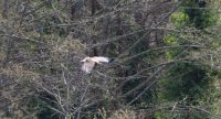 IMG_0005.jpg