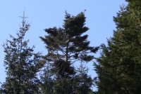 IMG_0001.jpg