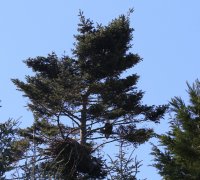 IMG_0002.jpg