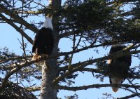 IMG_0005.jpg