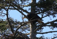 IMG_0011.jpg