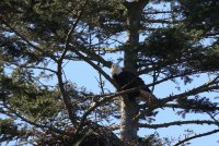 IMG_0012.jpg