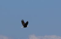 IMG_0017.jpg
