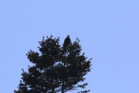IMG_0019.jpg