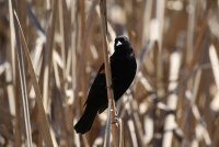 IMG_0001.jpg