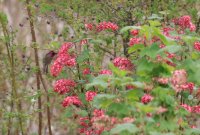 IMG_0002.jpg