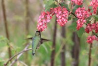 IMG_0004.jpg