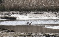 IMG_0002.jpg