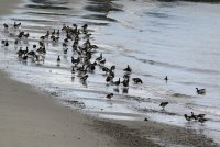 IMG_0005.jpg