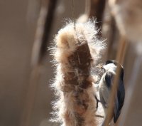 IMG_0002.jpg