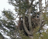IMG_0001.jpg