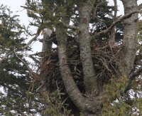 IMG_0002.jpg