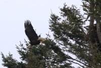 IMG_0005.jpg