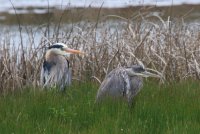 IMG_0003.jpg