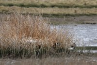 IMG_0002.jpg