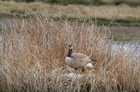 IMG_0003.jpg