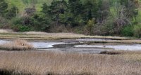 IMG_0004.jpg