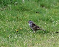 IMG_0002.jpg